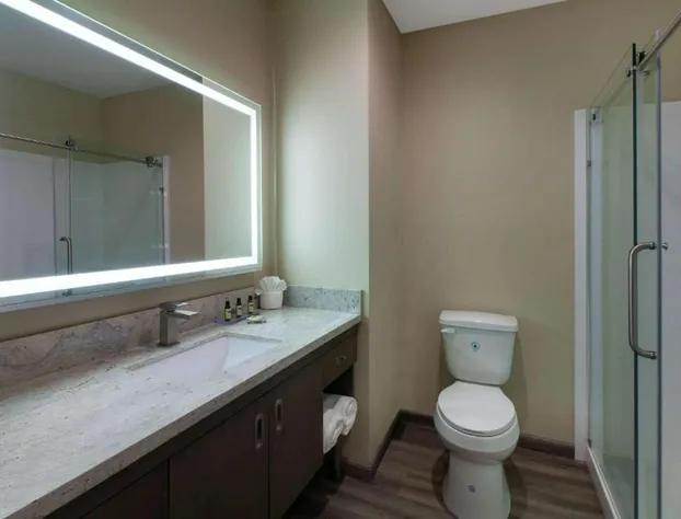 Hawthorn Extended Stay by Wyndham Odessa hotel detail image 4