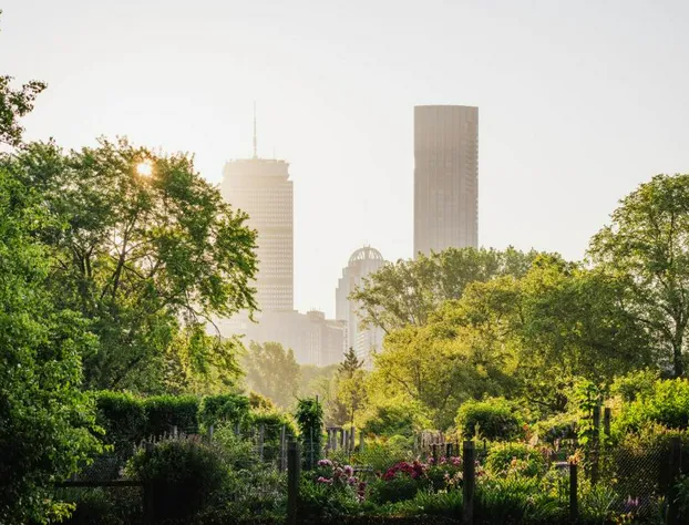 Four Seasons Hotel One Dalton Street, Boston hotel detail image 4