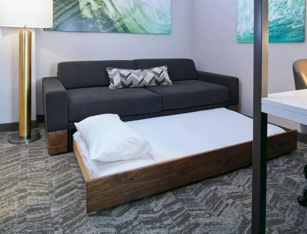 SpringHill Suites by Marriott Wixom Novi hotel detail image 3