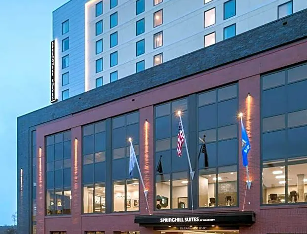 SpringHill Suites by Marriott Madison hotel detail image 1
