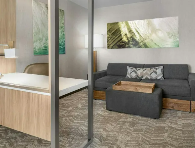 SpringHill Suites by Marriott Holland hotel detail image 4