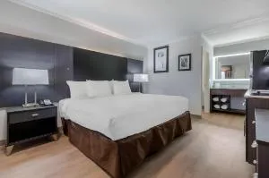 Suburban Studios at the University hotel detail image 3