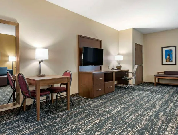 Comfort Inn & Suites Downtown near University hotel detail image 1