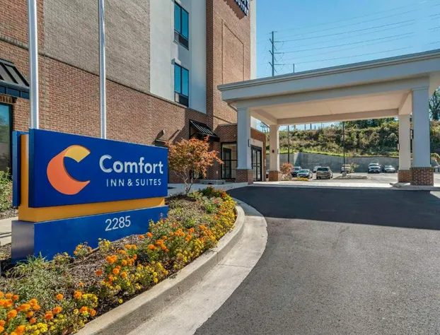 Comfort Inn & Suites Downtown near University hotel detail image 1