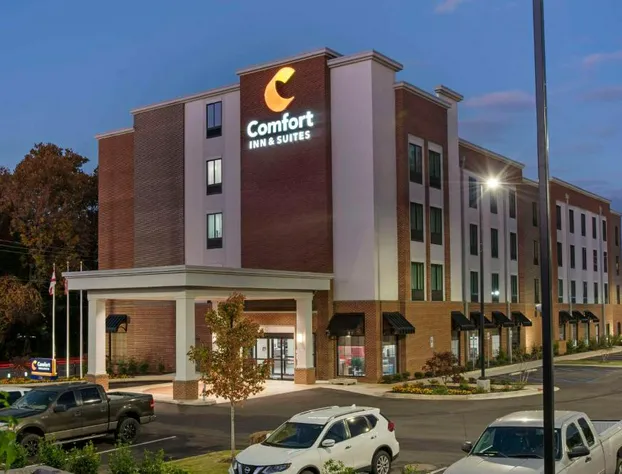 Comfort Inn & Suites Downtown near University hotel detail image 2