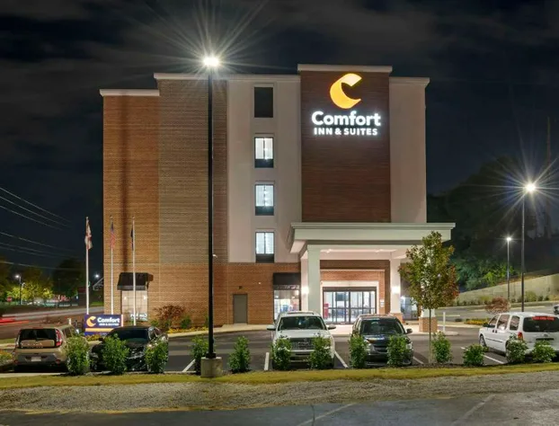 Comfort Inn & Suites Downtown near University hotel detail image 3