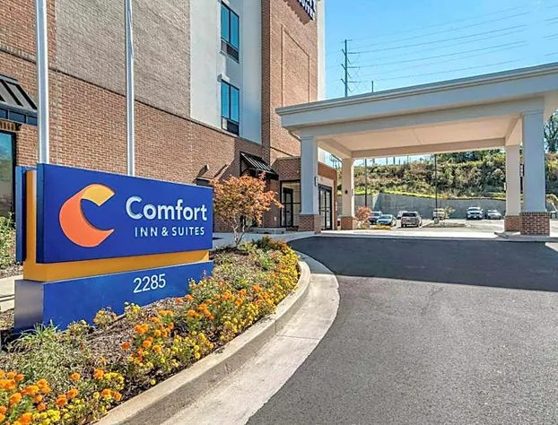 Comfort Inn & Suites Downtown near University hotel detail image 1