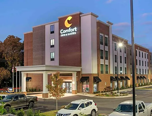 Comfort Inn & Suites Downtown near University hotel detail image 2