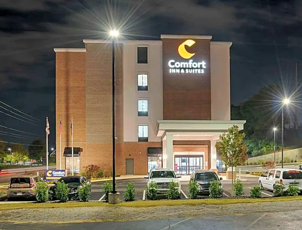 Comfort Inn & Suites Downtown near University hotel detail image 3