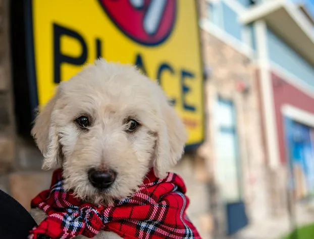 My Place Hotel - Watertown, SD hotel detail image 3