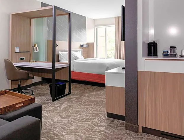 SpringHill Suites by Marriott Suwanee Johns Creek hotel detail image 2