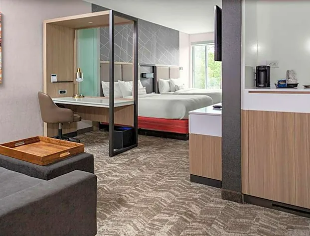 SpringHill Suites by Marriott Suwanee Johns Creek hotel detail image 3