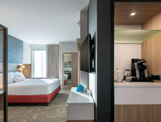 SpringHill Suites by Marriott Suwanee Johns Creek hotel detail image 4