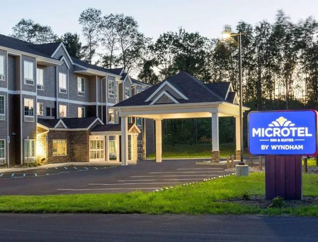 Microtel Inn & Suites by Wyndham Amsterdam hotel detail image 1