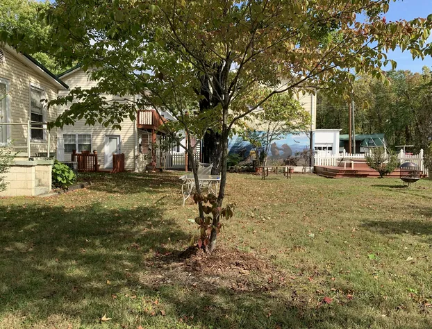 The Dancing Bear Inn hotel detail image 2