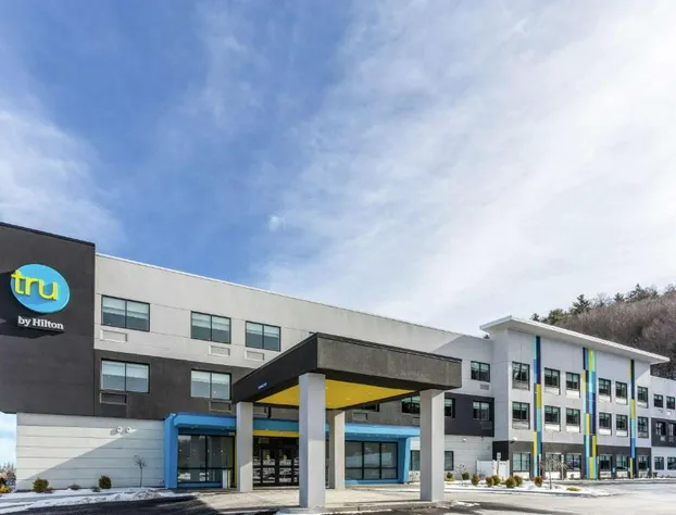 Tru by Hilton Binghamton Vestal hotel detail image 3