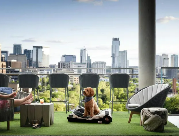 The Otis Hotel Austin, Autograph Collection hotel detail image 4