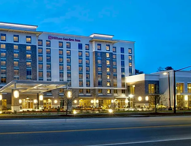 Hilton Garden Inn Summerville hotel detail image 1