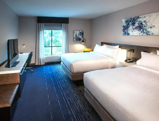 Hilton Garden Inn Redmond Seattle hotel detail image 2