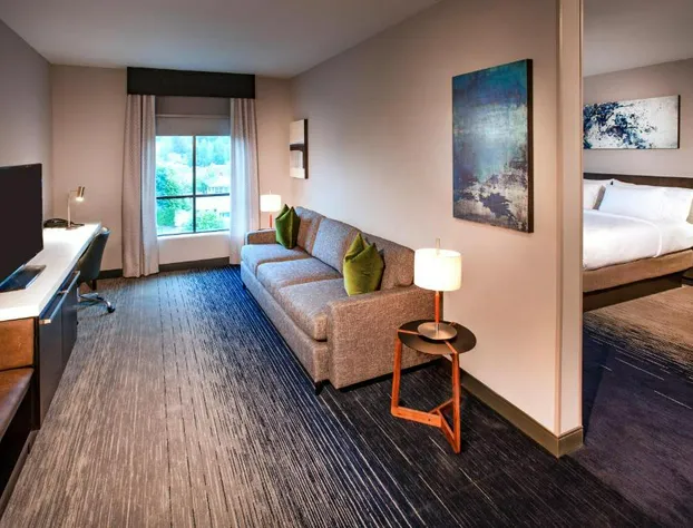 Hilton Garden Inn Redmond Seattle hotel detail image 3
