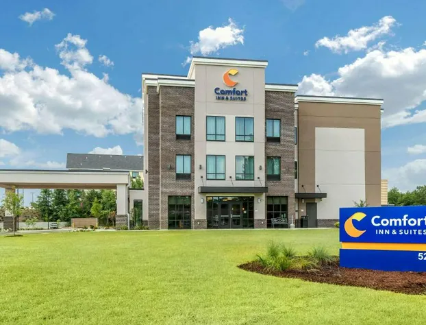 Comfort Inn & Suites Florence Center Area hotel detail image 1