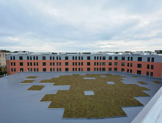 Hampton Inn Salem Boston hotel detail image 3