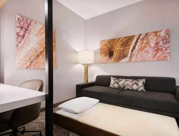 SpringHill Suites by Marriott Tifton hotel detail image 4