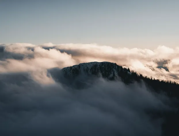 The Josie Hotel, Autograph Collection hotel detail image 3
