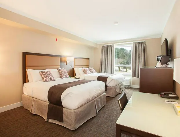 Mstar Hotel hotel detail image 2