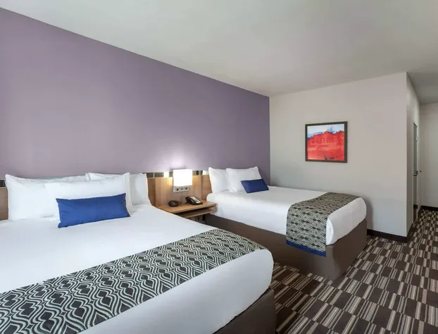 Microtel Inn & Suites by Wyndham College Station hotel detail image 4