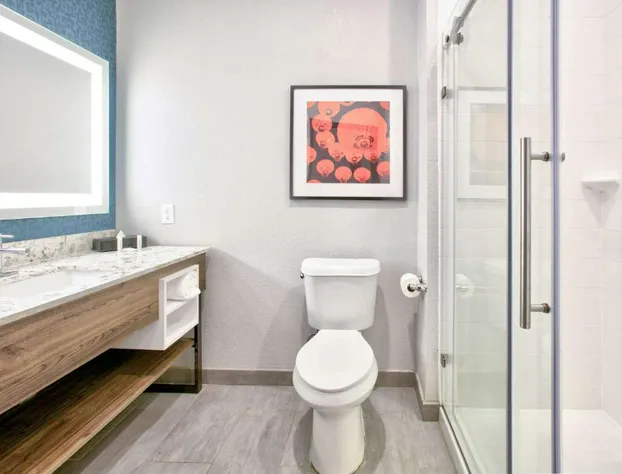 La Quinta Inn & Suites by Wyndham Dallas/Fairpark hotel detail image 4