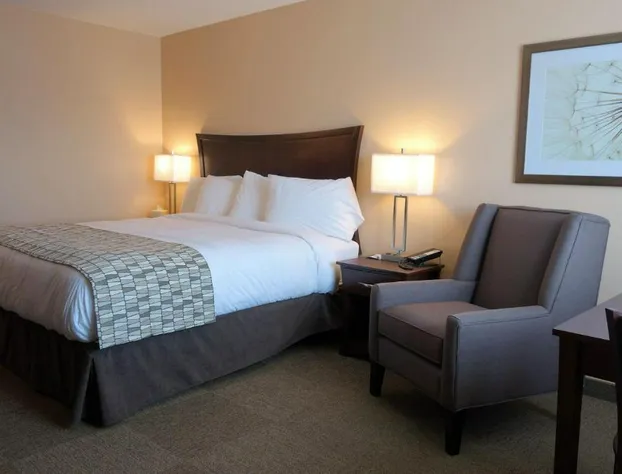 Travelodge by Wyndham Pincher Creek hotel detail image 3