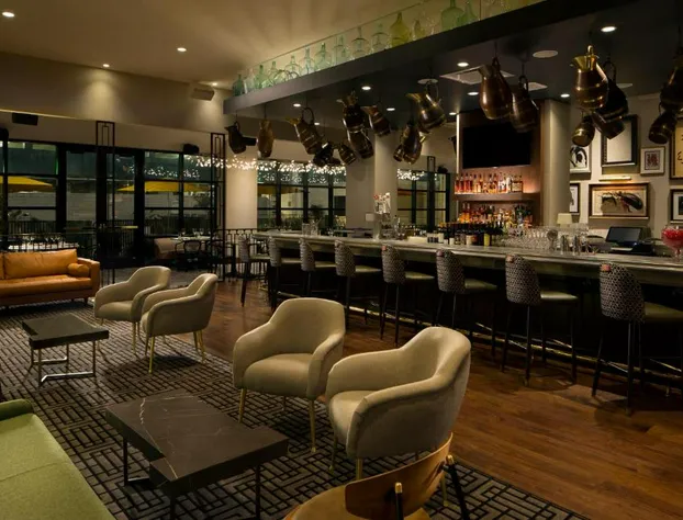 Hotel ZaZa Houston Memorial City hotel detail image 1