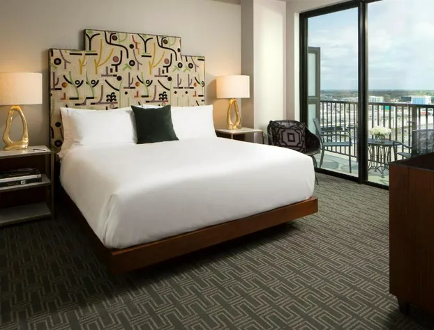 Hotel ZaZa Houston Memorial City hotel detail image 4