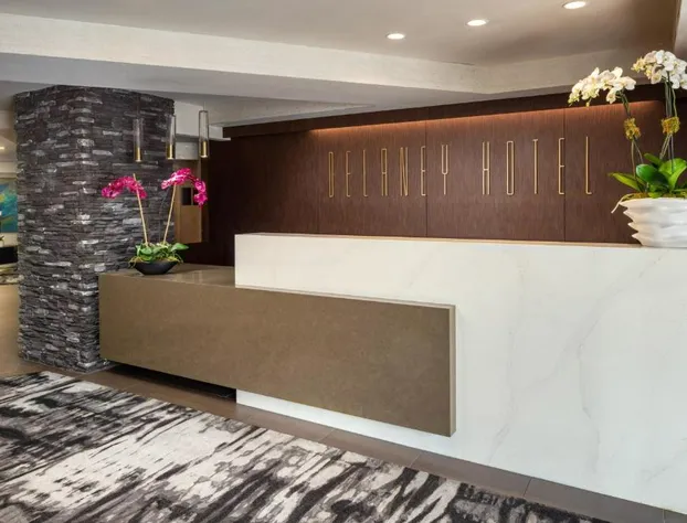 The Delaney Hotel hotel detail image 2