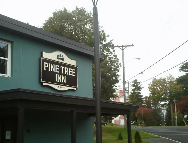 Pine Tree Inn hotel detail image 1