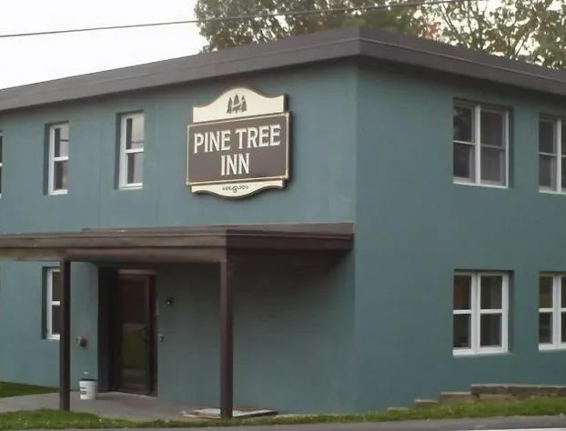 Pine Tree Inn hotel detail image 2