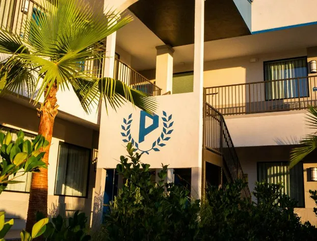 Palace Inn hotel detail image 4