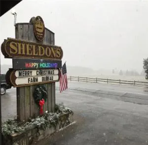 Sheldon's Motel by OYO Keysville Near Hwy 360 hotel detail image 4