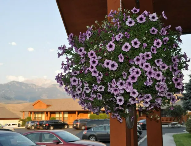 Yellowstone Village Inn and Suites hotel detail image 2