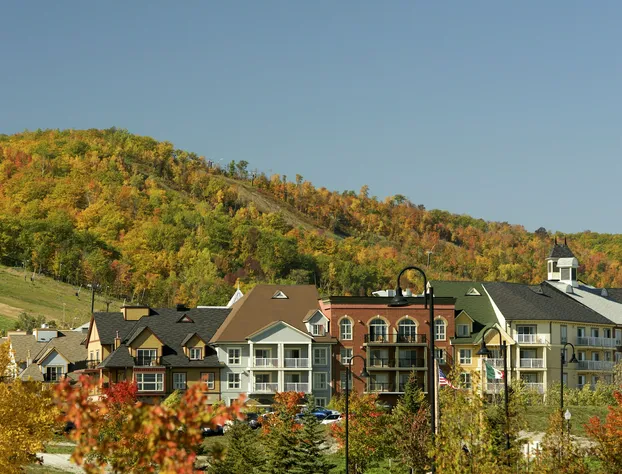 Blue Mountain Resort Mosaic Suites hotel detail image 3