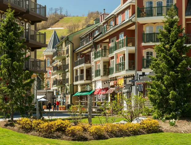 Blue Mountain Resort Mosaic Suites hotel detail image 4