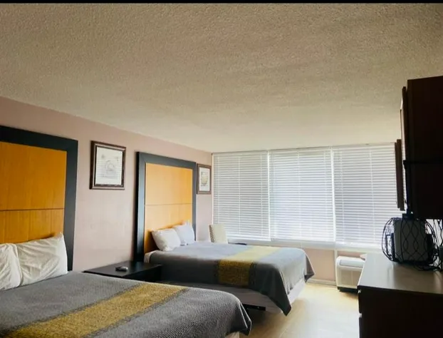 Apm Inn & Suites hotel detail image 4