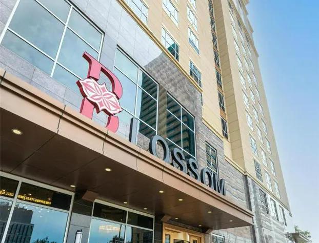 Blossom Hotel Houston, Curio Collection by Hilton hotel detail image 2