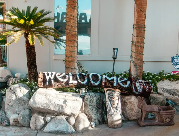 Sahara Resort & Spa hotel detail image 2