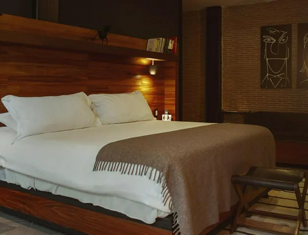 Elena de Cobre, Leon, a Member of Design Hotels hotel detail image 3