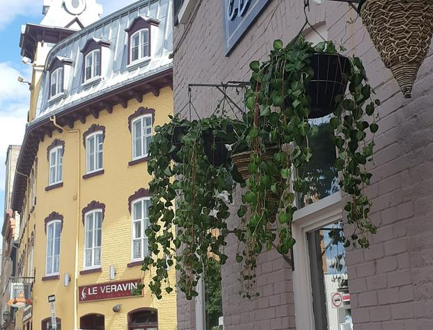 Hotel Belley hotel detail image 4