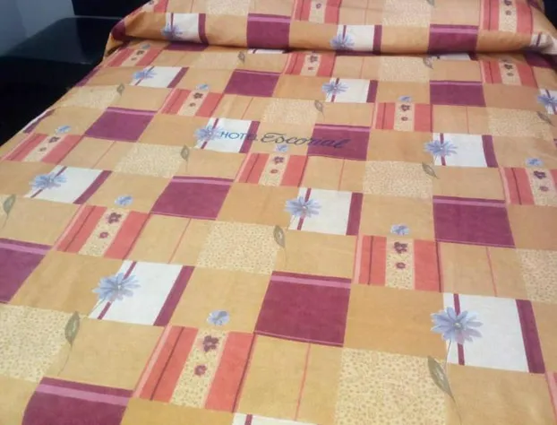 Hotel Escorial hotel detail image 3