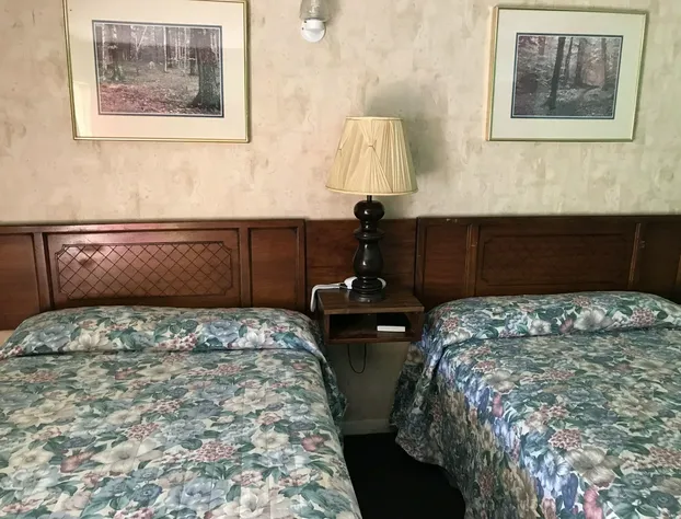 Regency Inn Bridgeport Frankenmuth hotel detail image 3