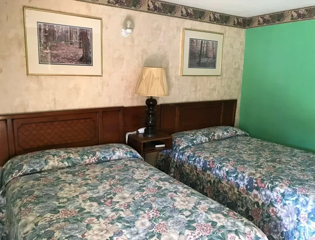 Regency Inn Bridgeport Frankenmuth hotel detail image 4